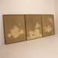 3 piece medium modern abstract oil paintings, South Africa